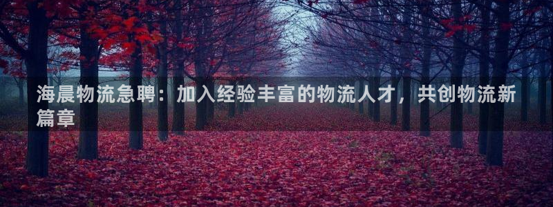 28圈游戏链接：海晨物流急聘：加入经
