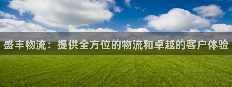 28圈娱乐官网网页下载：盛丰物流：提