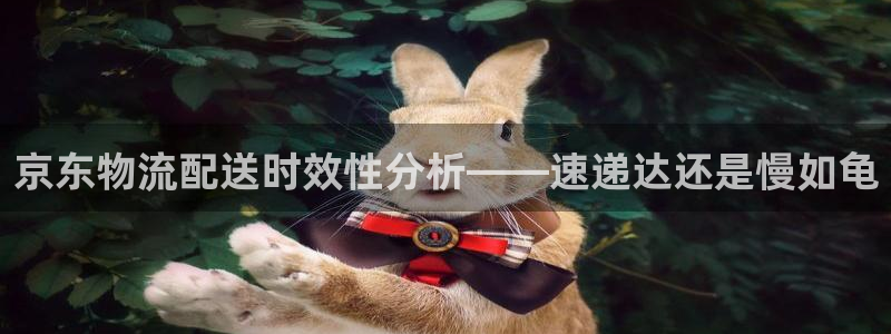 28圈怎么下载不了：京东物流配送时效