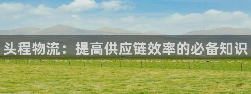 28圈加拿大走势：头程物流：提高供应