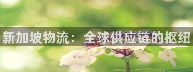 28圈app怎么注销：新加坡物流：全