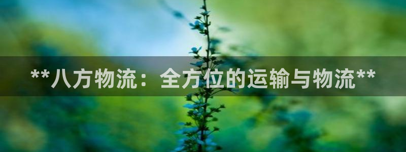 28圈人工客服电话是什么：**八方物