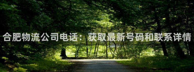 28圈app注册地址：合肥物流公司电