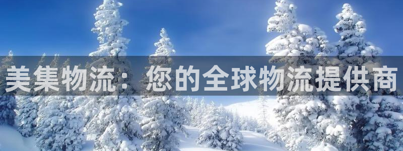 28圈头像：美集物流：您的全球物流提