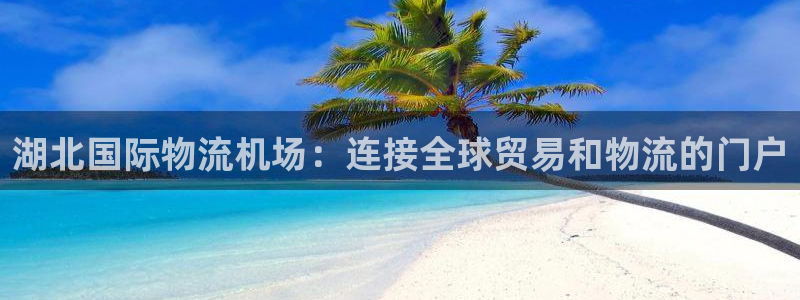 28圈注册网站多少钱：湖北国际物流机