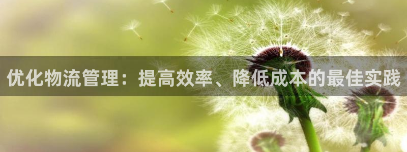 28圈官方平台