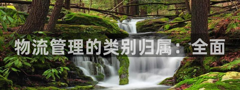 28圈v6能卖多少