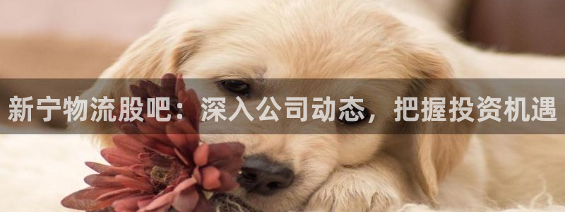 28圈注册问一问：新宁物流股吧：深入