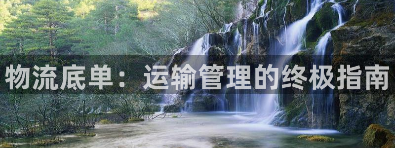 28圈口戒指是多大：物流底单：运输管
