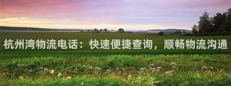 28圈p扣除：杭州湾物流电话：快速便