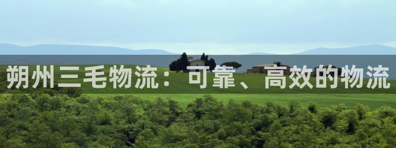 28圈游戏：朔州三毛物流：可靠、高效