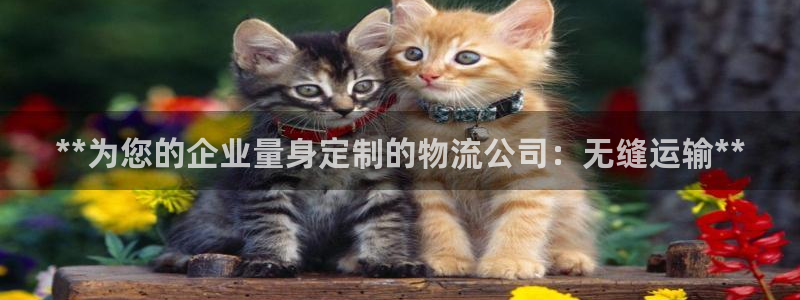 28圈比特28预测在线预测：**为您
