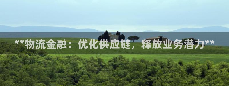 28圈模拟器在线使用：**物流金融：