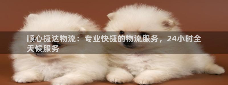 南宫28圈官网版：顺心捷达物流：专业