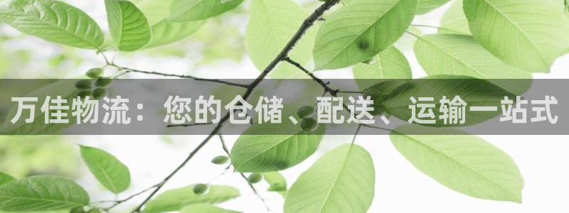 28圈能赢钱吗：万佳物流：您的仓储、
