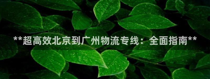 28圈v6能卖多少：**超高效北京到