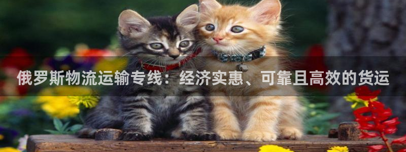28圈为什么打不开：俄罗斯物流运输专