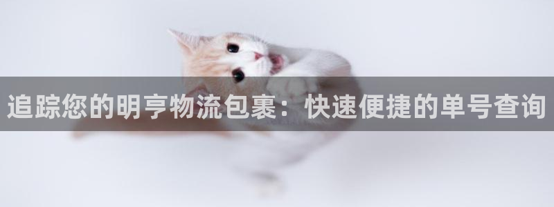 28圈返水怎么算的：追踪您的明亨物流