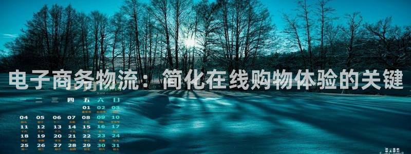 南宫28圈官网版：电子商务物流：简化