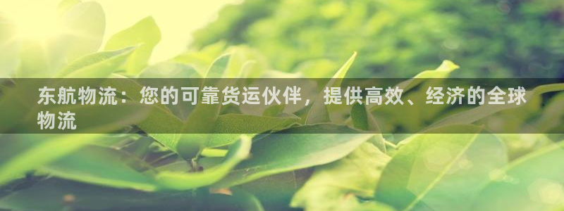 28圈和南宫28什么关系：东航物流：