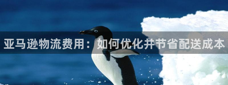 28圈口戒指是多大：亚马逊物流费用：