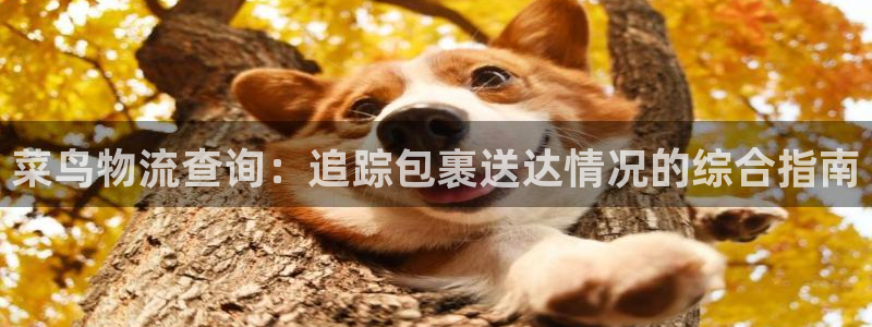 28圈违法吗：菜鸟物流查询：追踪包裹