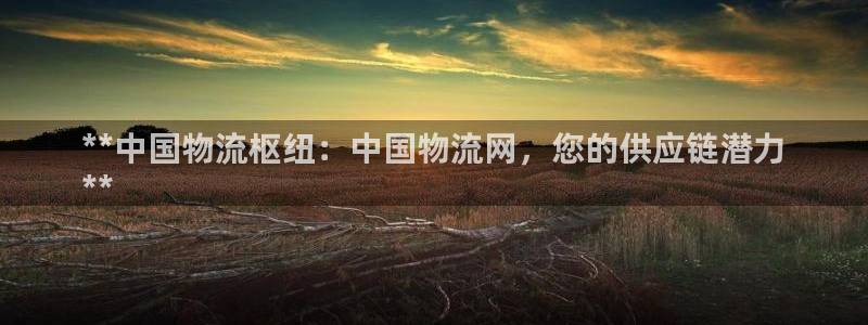 麻将128圈：**中国物流枢纽：中国