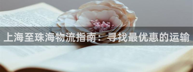 28圈模拟器下载：上海至珠海物流指南