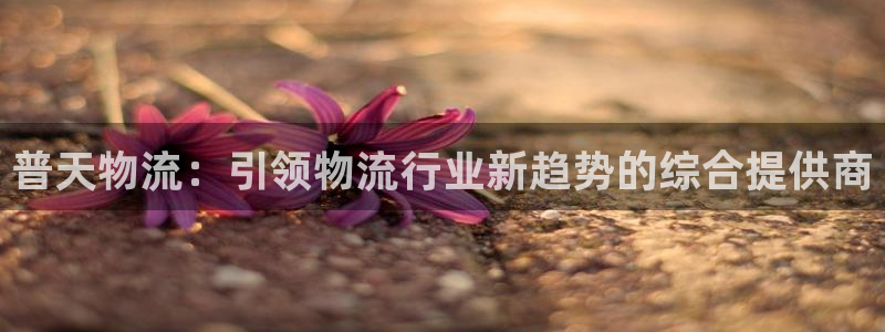 28圈注册登录链接流程：普天物流：引