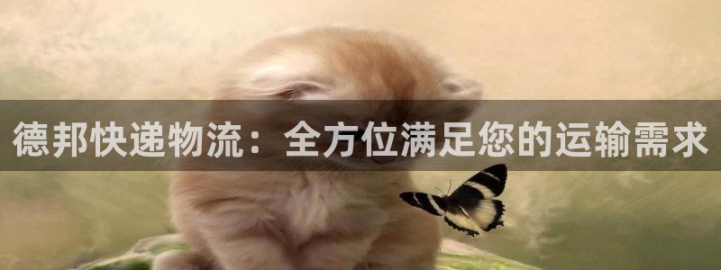 28圈预测加拿大：德邦快递物流：全方