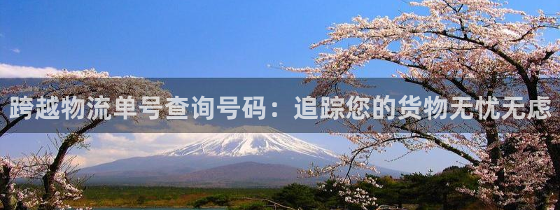 28圈注册网页：跨越物流单号查询号码