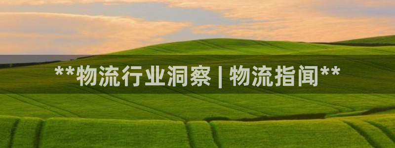 28圈模拟器下载：**物流行业洞察 