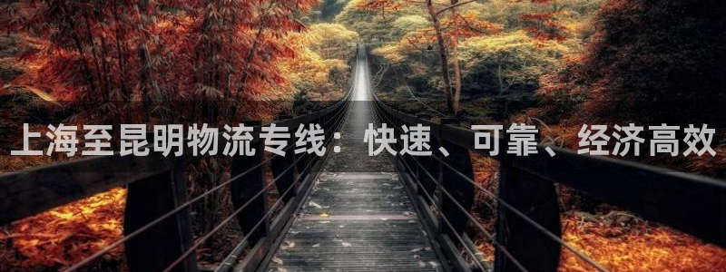 28圈圈：上海至昆明物流专线：快速、