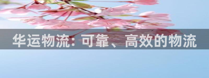 28圈黑款：华运物流: 可靠、高效的