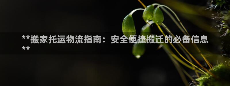 28圈.ccmpc28：**搬家托运