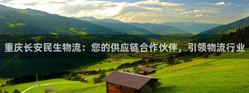 28圈怎么下载教程：重庆长安民生物流