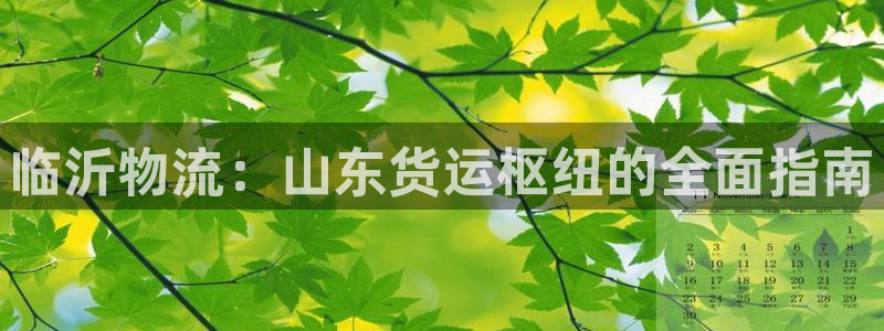 28圈退款教程：临沂物流：山东货运枢
