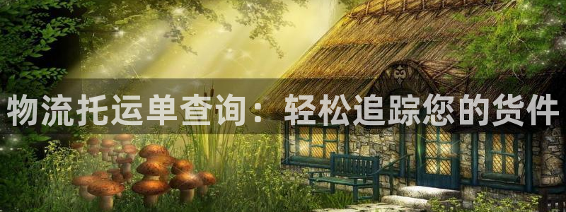 28圈二维码：物流托运单查询：轻松追