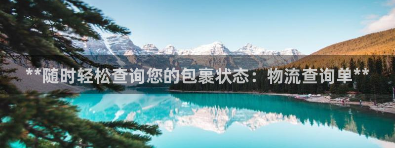 28圈黑不黑：**随时轻松查询您的包