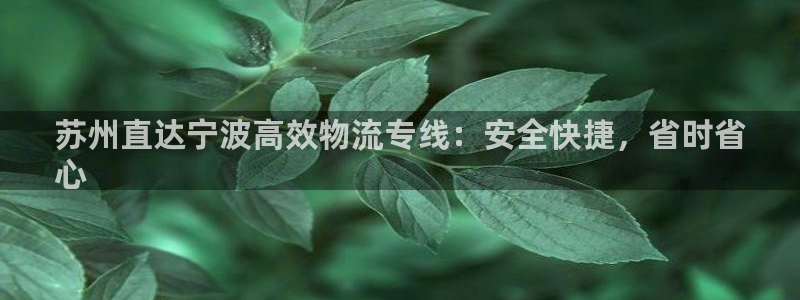 28圈游戏官网版：苏州直达宁波高效物