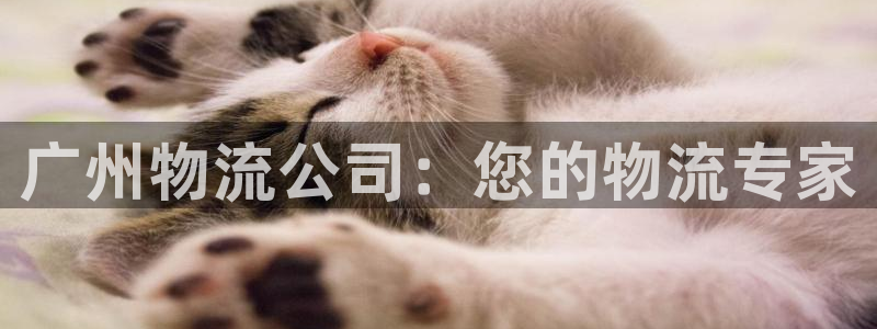 28圈下载二维码