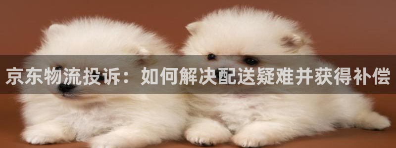 28圈哪个最赚钱：京东物流投诉：如何