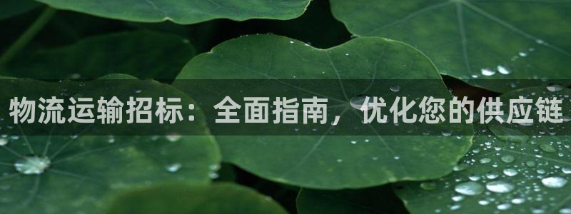 加拿大28圈注册链接：物流运输招标：