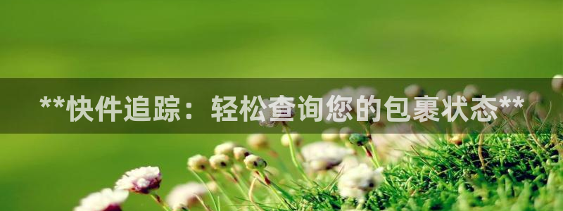 28圈怎么注册账号和密码：**快件追
