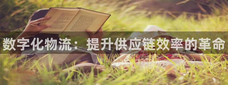 28圈加拿大开奖：数字化物流：提升供