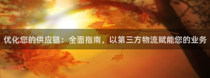 28圈的平台：优化您的供应链：全面指