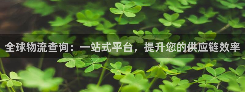 28圈加拿大最新版