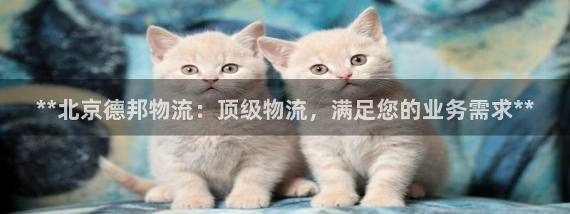28圈注册网站多少：**北京德邦物流