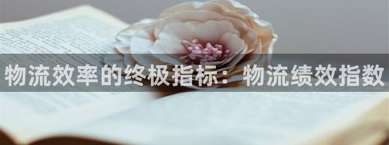 28圈登录用户名登录不上：物流效率的