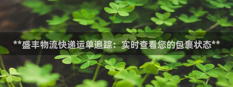28圈起来的符号：**盛丰物流快递运